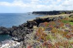 Coastline trail East of the property gate